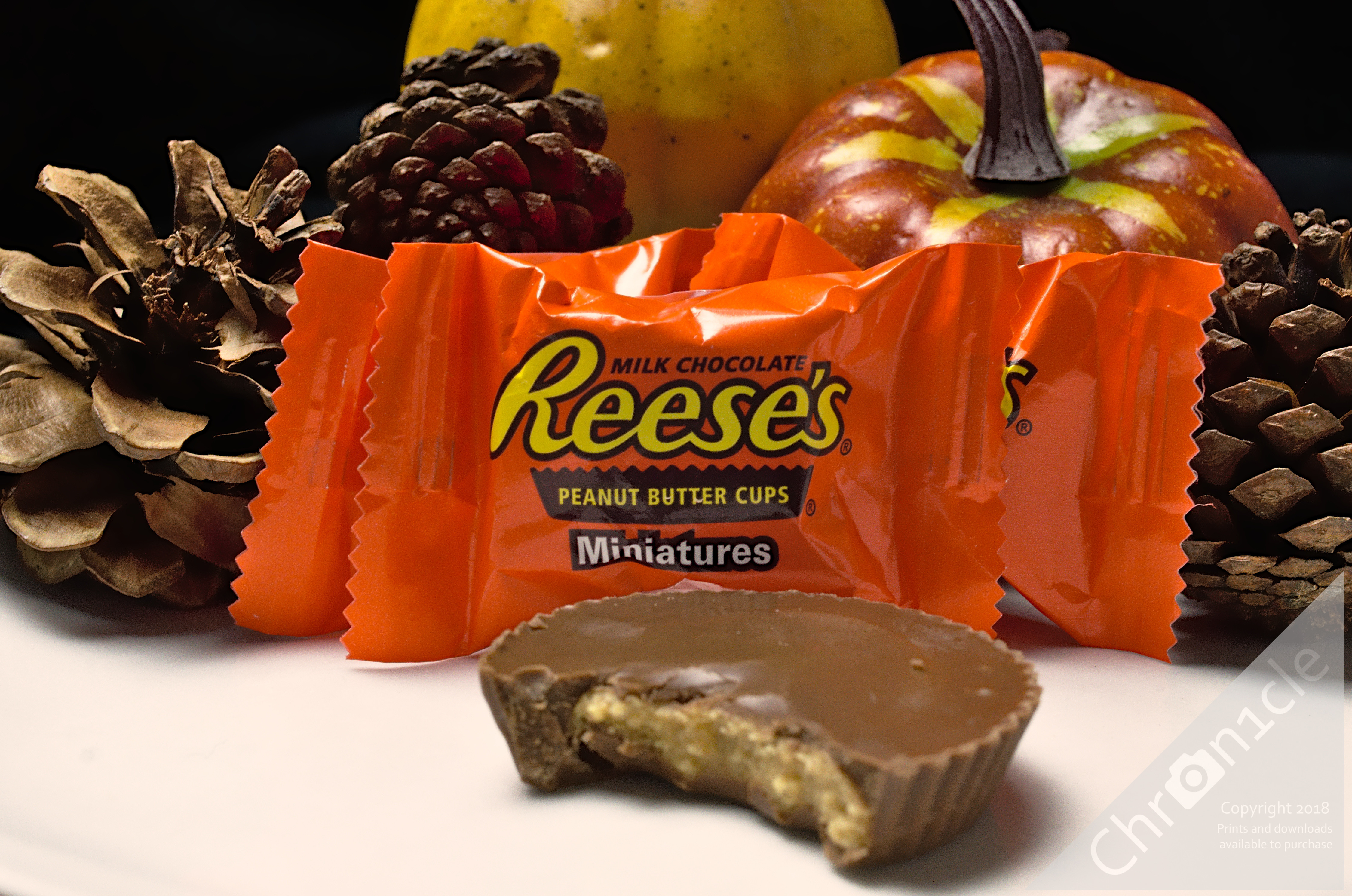 Reese’s Commercial Photography